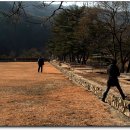 가평유스호스텔 이미지