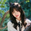코코로 이미지