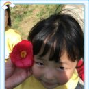경상목장 Daum카페