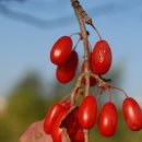 무한공간 이미지