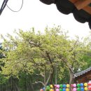 두발제화 - 광진구 뚝섬로23길 31 | 칠곡 도덕산 도덕암