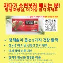 청해솔건강 | 🌲 솔잎농축액, 왜 야간뇨·빈뇨·잔뇨·전립선 건강에 좋다고 할까?