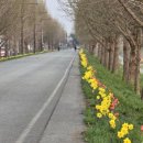 백암광장화장실 이미지