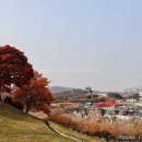 연무초등학교 앞 이미지