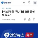 [속보] 합참 "북, 대남 오물 풍선 또 살포" 이미지