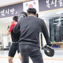 조치원세종복싱