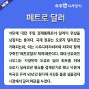 페트로(PETRO) 네이버블로그