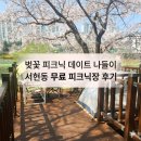 패스트포워드 | 성남 분당 벚꽃 나들이 텐트,돗자리 펼수있는 피크닉존