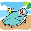 손엠앤씨 이미지