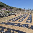 김창희공인중개사사무소 이미지