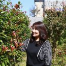 청솔조경 이미지