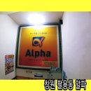 알파창원팔용점