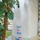 플레이영