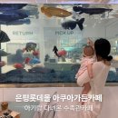 로얄수족관 | 은평롯데몰 아쿠아가든카페, 아기랑 다녀온 수족관카페 후기