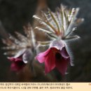 시고개농원 네이버블로그