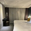 호텔앨리스앤트렁크 | 제주시내호텔 앨리스앤트렁크 제주공항 근처 가성비 숙소