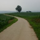 초원목장B 이미지