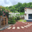 스테이 아이 | 강릉 풀빌라 873스테이 후기 아이들과 함께한 완벽한 힐링 여행
