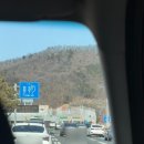 행복한 강아지 | 강아지와 함께한 가족 강릉 1박 2일 여행 1탄 (해송횟집, 보사노바커피로스터스, 안목해변 구경)
