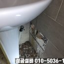 칠칠공사 이미지
