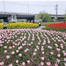 낙동강관리본부 화명생태공원 12 이미지