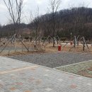 청라캠핑파크 이미지