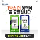 캐시워크 정답 아프리카망고 이미지