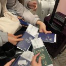 토이N조이 | 미국 플로리다 3박 4일 여행 | 디즈니월드 (매직킹덤, 할리우드), 플로리다 비치, 여행 추천