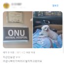 매탄동물병원 이미지