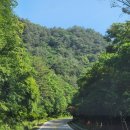 필례산장 | 인제 필례약수, 한계령 휴게소