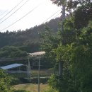 동산흑염소농장 이미지