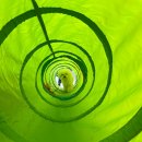 도그유토피아 더펜트 이미지