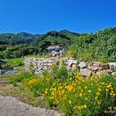 원주굽이길 11코스 혁신도시둘레길 이미지