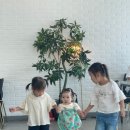 월미도레미 이미지