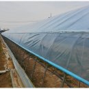 월성농장 이미지