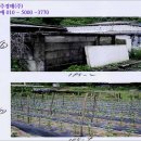 신월동195 이미지