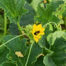 필자농장 이미지