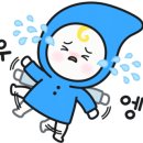 풍진마트