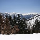 러브레터 이미지