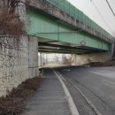 원주굽이길 원7코스 반계리은행나무길 이미지