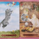 에밀리펫 | 에밀리님의 펫타로 후기