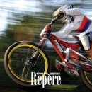 은빛물고기 이미지