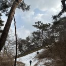 충무칼국수보쌈