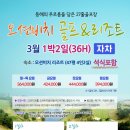 오션비치 이미지