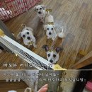 아라아띠 이미지