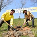 황룡강변 이미지