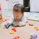 하도 로운이네 이미지