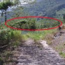 양지-3350 이미지