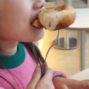 서초1동청사 앞마당 | 진주 아이동반/애견동반 카페 추천｜타타스베이글 후기