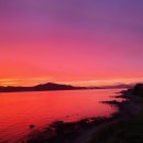 오션갤러리펜션 이미지